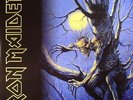 IRON MAIDEN - Fear Of The Dark (reissue) - Vinyl (2xLP)