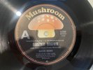 Buster Brown- Aussie Mushroom 45  