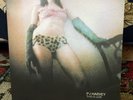 PJ Harvey This Is Love / Angelene OOP 7” 2001 Rare