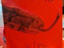 Alice Cooper - Killer VINYL LP 1971 w/original calendar Attached GREEN LABEL