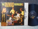 Animals vg+ / ex mono LP Animalism