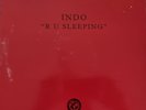 Indo – R U Sleeping 12
