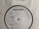 KATE BUSH -The Sensual World- Rare French 12” Test Pressing (Vinyl Record)