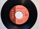 RARE    SOUL, INC.  - Who Do You Love / 727  -  1966 KENTUCKY PSYCH/GARAGE 45