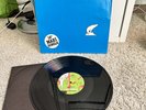 Grauzone Eisbär Vinyl Single 12inch Welt-Rekord.1981