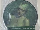 Sky Ferreira - Night Time My Time 12 Picture Disc Vinyl  RSD Limited 800 NEW