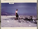 Blue Screen Life by Pinback - 2003 Limited Edition Clear Vinyl Double LP Sealed