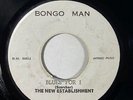 The New Establishment/The Skatalites 
