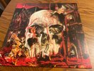 SLAYER - South Of Heaven VINYL LP + Insert Excellent Pic Disc
