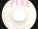 VERY RARE REGGAE 45 - Mighty Plee - Love Is A Treasure - See Pictures