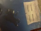 Billie Eilish Hit Me Hard And Soft Vinyl LP Sea Blue Colour 2024 NEW 1/2