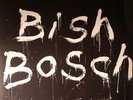 WALKER, Scott - Bish Bosch - Vinyl (180 gram vinyl 2xLP + CD + booklet)