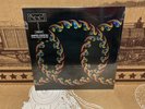 Lateralus by Tool (Album, 2005) LP In A Best Record Mailer Picture Disc Mint AZ