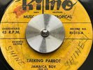 JAMAICA Calypso JAMAICA BOY Talking Parrot  7