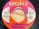 THE JELLY BEANS - You Don't Mean Me No Good / RARE NORTHERN SOUL 45