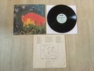 Meat Puppets  II  Alternative Rock Punk