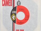 BOB SEGER &THE LAST HEARD East Side Story CAMEO 45 Garage Near Mint Promo HEAR