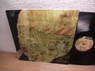 OUT OF FOCUS - Same 1st PRESS KUCKUCK 1971 RARE GERMAN KRAUTROCK RARITY