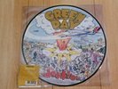 Dookie - Picture Disc LP - Green Day 4