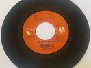 Blues Traveler - “ Run-Around / Hook “ Rare 45 Vinyl Record