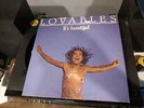 Lovables It's Beautiful 12
