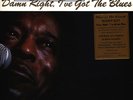 Buddy Guy - Damn Right, I've Got The Blues (Vinyl LP - 1991 - EU - Reissue)