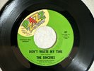 The Sinceres Don't Waste My Time / Girl, I Love You Pzazz Records 45