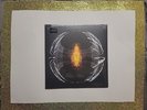 Pearl Jam Dark Matter vinyl brand new/sealed (2024) pressed on Black Vinyl