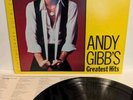 Rare ANDY GIBB BEE GEES Greatest Hits MAIL ORDER JAPAN Only LP Vinyl + Lyric NM