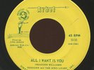 HEAR- Rare Garage 45 - Shadden & The King Lears - All I Want Is You- Arbel #1016