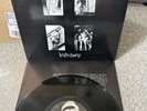 Rare punk record Fallout - Butchery, Vinyl  mini LP
