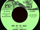 DYNAMIC CORVETTES Keep Off The Grass 45 Ru-Jac Rare 1971 Baltimore Funk M-