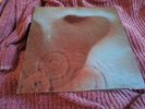 Pink Floyd - Meddle - 12