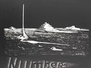 Numbers by 107-34-8933 (Raicevic, Nik Pascal) (Record, 2018)