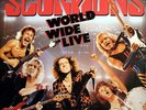 Scorpions World Wide Live 2xLP Album Vinyl Schallplatte 036