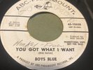 BOYS BLUE: you got what i want / take a heart ABC 7