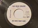 NEW ORLEANS SOUL FUNK 45 RIVER FRONT BAND WARM DADDY'S CHOICE GREEK FOUNTAINS