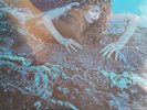 Vinyl LP Roxy Music 