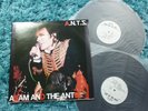 ADAM & THE ANTS - A.N.T.Z  2 x 12