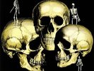 SKULL SNAPS - Skull Snaps - Vinyl (gatefold LP + insert)