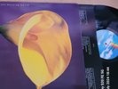 SWANS THE BURNING WORLD   LP