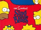 LP 33 The Simpsons – The Simpsons Sing The Blues Europe 1990 Geffen Records
