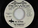 Garage 45 - Primitives - Ostrich - Pickwick - Lou Reed/pre-Velvet Underground