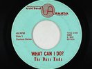 Garage Psych 45 - Daze End - What Can I Do - United Audio