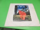 33g PINK FLOYD - WISH YOU WERE HERE Italian Emi 1975 Photo Vinyl Great