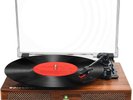 lttljess auction only.  private bid for Lana Record Vinyl.  lttljess ONLY