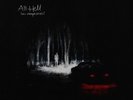 Los Campesinos  All Hell (Vinyl) 12