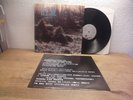 R.E.M. – Murmur 80s Lp mint- Alternative Rock, Indie Rock Rarität