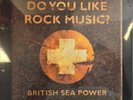 British Sea Power Do You Like Rock Music? LP Album vinyl record 2019 reissue