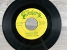 The Royal Jesters I Want You ‘Round / We Go Together 45 RPM 7” Vinyl Jester